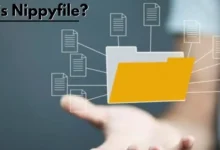 Nippyfile